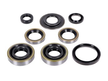 Engine Simmering Set 8 pieces for Hercules Sachs 50 / 3 Moped Pedal Start