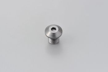 MIRROR PLUG BOLT GY RIGHT