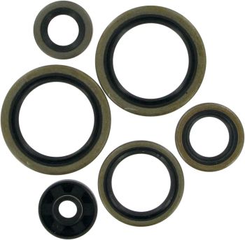 MTR SEALS-125/200SX EXC
