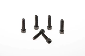 FORK TRIPLE CLAMP SCREWS