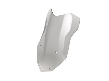 WSCRN INTER R1250GS SMOKE