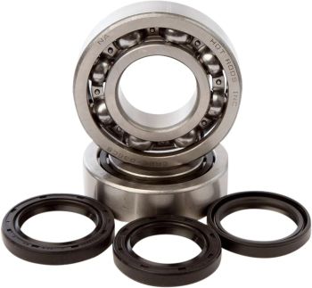 BEARINGS CRANK TRX450