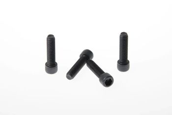 FORK TRIPLE CLAMP SCREWS