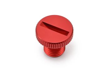 MIRROR PLUG BOLT RD RIGHT