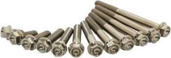 TITANIUM BOLT M6X12 PACK OF 2