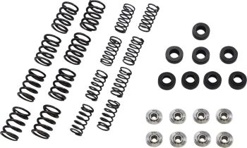 SPRING KIT KAW650 06-16