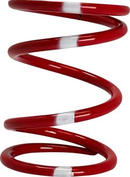 PRIMARY CLUTCH SPRING (RED/BLU