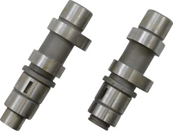 CAMS 21HG 06DYNA 07-14 BT