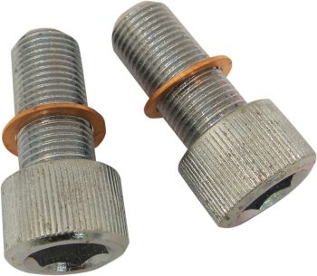 SCREWS W/WSHRS DMPR TB