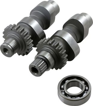 CAM TW48 TC 99-06