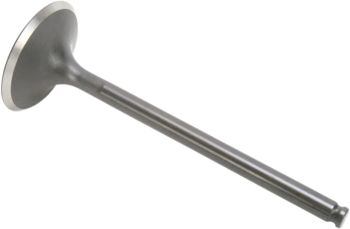 VALVE INT STD KTM450