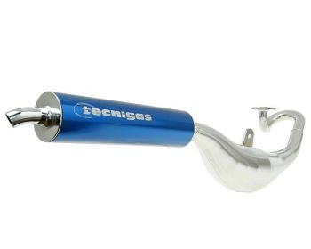 exhaust Tecnigas Next-R chrome for Honda Wallaroo