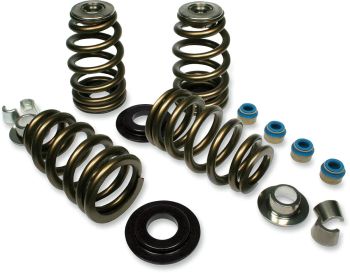 VALVE SPRNGS HILOAD 05-14