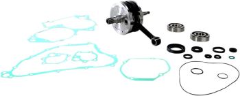 CRANK W/BRG + GASKET