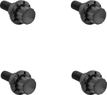 BOLT KIT TITANIUM - FLTR 23-25