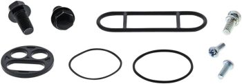 REBUILD KIT PETCOCK AC