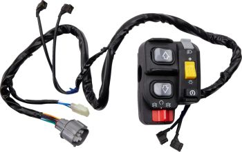 SWITCH BLOCK ASSEMBLY HONDA