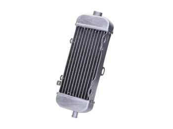 radiator handcrafted for Beeline, CPI SM 50, SX 50