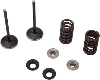 VALVE KIT IN MSE YZ 250F
