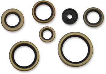 SEAL OIL SET KTM