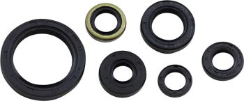 SEAL OIL SET KLX250