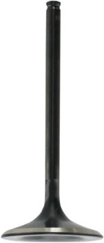 VALVE IN STD 06-08TRX450R