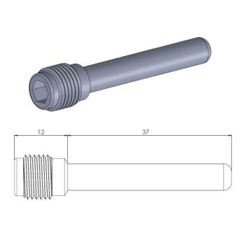 BRAKE CALIPER PIN