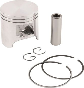 PISTON ASSY. ARCTIC STD