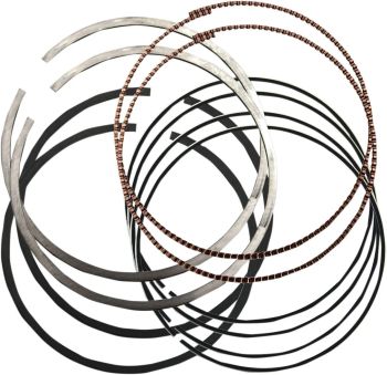 RINGS PSTN 4.125 +.020