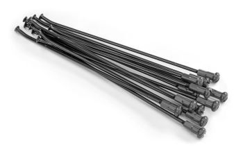 SPOKES 19 RR BK / SI NI 12PC
