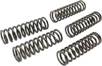 CLUTCH SPRING SET (5 PCS)