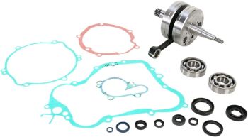 CRANK W/BRG + GASKET