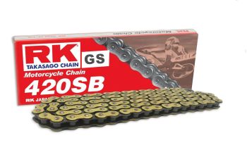 CHAIN GS420SB X 110 L