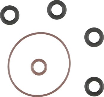 O-RING INDUCTION MODULE KIT 01