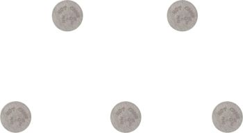 VALVE SHIM 5PK 9.48X3.05