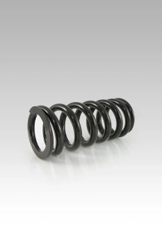 REAR SHOCK SPRING BMW R1250GS