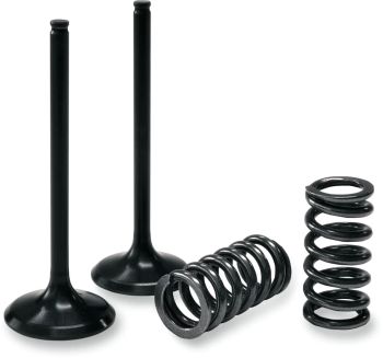 INTAKE VALVE/SPRING KIT