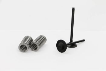 VALVE KIT EXH KW KX250F / SZ R