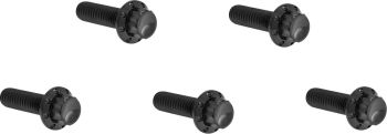 BOLT KIT TITANIUM 12PT DERBY COVER BLACK