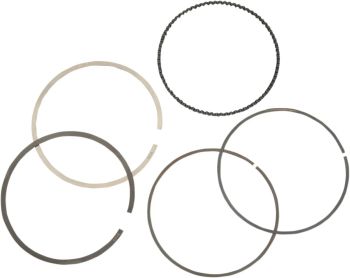RING SET MOOSE