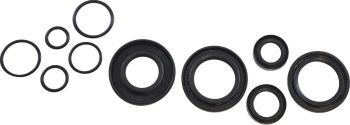 OIL SEAL KIT KOS013