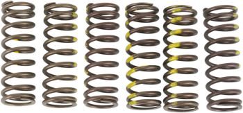SPRINGS CLUTCH RMZ450