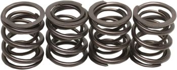 VALVE SPRINGS 48-65 BT