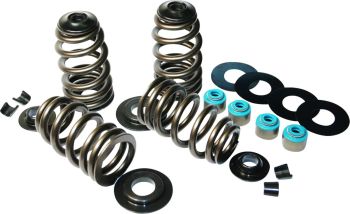 VALVE SPRINGS ECONO 05-14