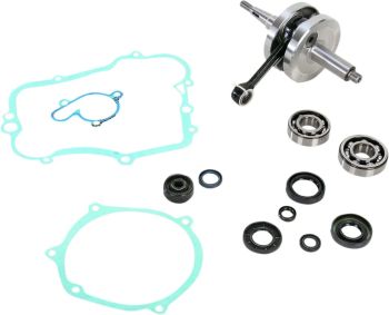 CRANK W/BRG GASKET