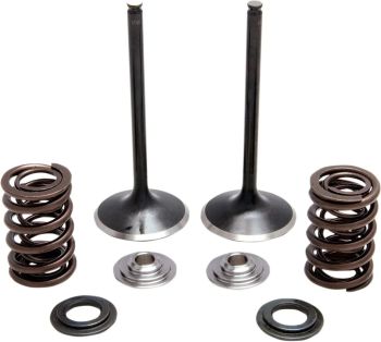 SPRING KIT SS CFR450X 05+