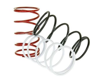 torque springs Naraku Sport V.2 - set of 3 pcs