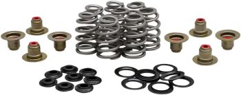 SPRING KIT BHIVE M8 .625