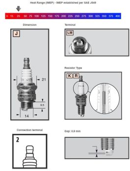 Champion Sparkplug RJ19LM