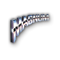 MAGNUM SHIELDING
